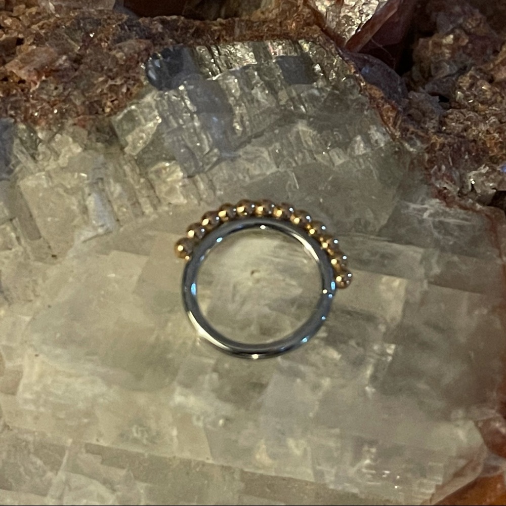 Anatometal Vaughn Seam Ring SS 18k Rose Gold 3/8” Diameter - Picture 3 of 8